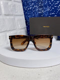 Tom Ford Oversized Brown Lens Sunglasses for Men & Women